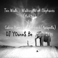 Ten Walls - Walking With Elephants Ft CLV HRS - FLASHBACK(Dj Younes Be EDIT 2K15)
