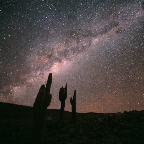 MWD ∞ 17/11/15 ∞ Beautiful Music Daily