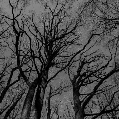 Agalloch - The Astral Dialogue
