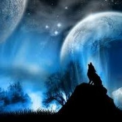 Earth Medicine- Songs of Healing & Holding the Light