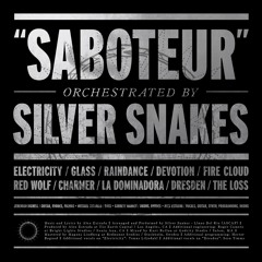 Silver Snakes - Raindance