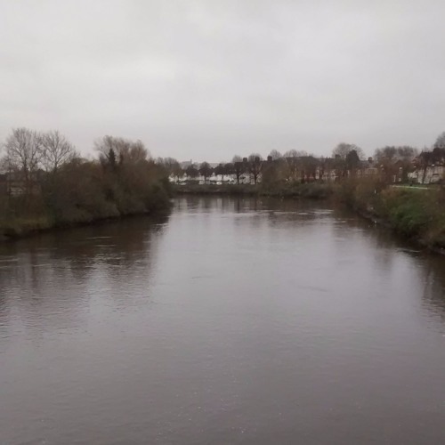 Birds following the tidal Taff, 90s (Russ)