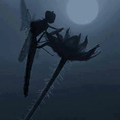 Krewella:skrillex by BrightNoise