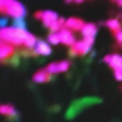 daycare (prod. cadeswet x harm)