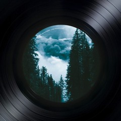 Namenlosigkeit - Desolate