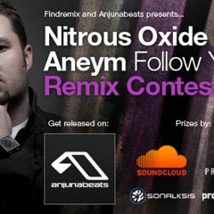 Nitrous Oxide - Follow you Feat. Aneym(Sandvik bros. remix)