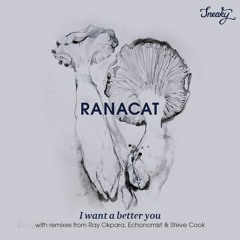 Ranacat - I Want A Better You (Ray Okpara Remix) - SNKY 007 (128kbps Preview)