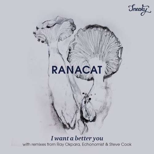 Ranacat - I Want A Better You (Ray Okpara Remix) - SNKY 007 (128kbps Preview)