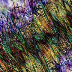 Zawsze Tylko Na Końcu Wszystko Pięknie