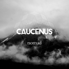 Raiz