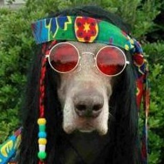 Surrounded By Yankees - Lightning - Original