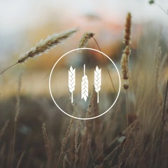 Biespierapynna (Permanently)