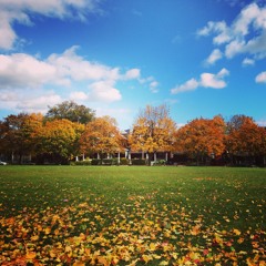 The Tallest Man On Earth - The Gardener (Acoustic Cover) Arthur Lee & Nolan Bouvier