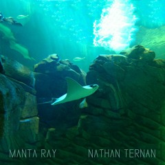 Manta Ray (unfinished)