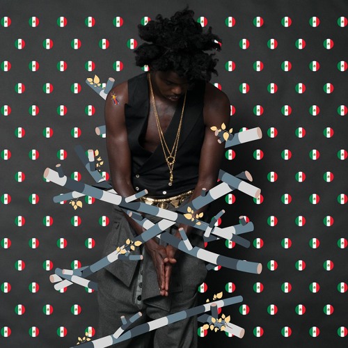 i DON'T CARE [Toy Selectah Remix]