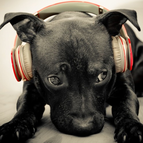 Good tracks #1