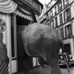 Back to the  Menagerie  - Mix Tape 002