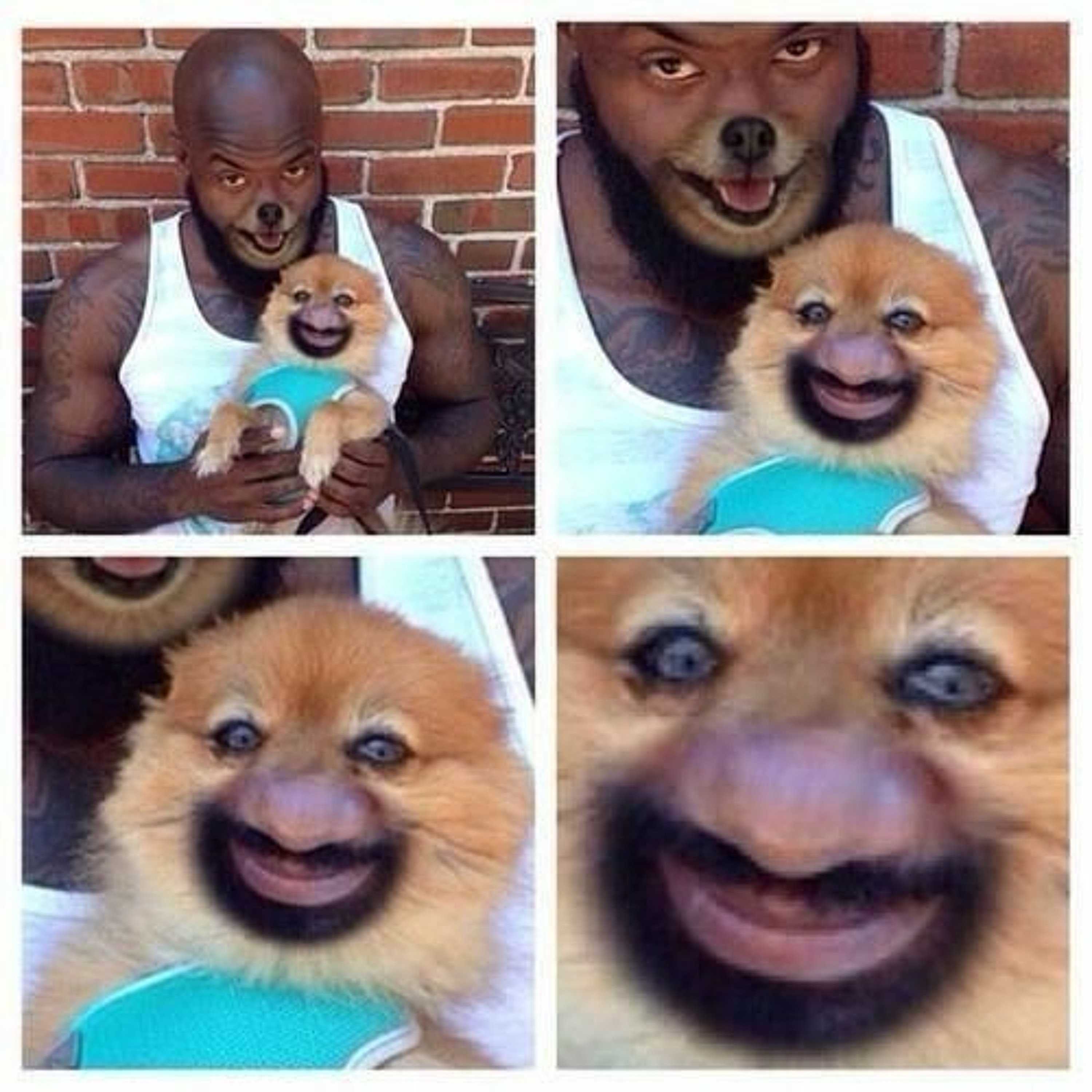 AyM