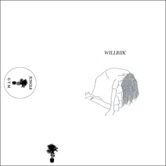 B1. Hidden In The Sun // Willrijk