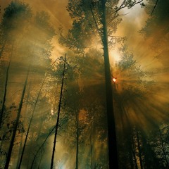 Adam Lambert - If I Had You (RProject Remix)