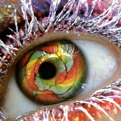 Olhos Coloridos (Sandra De Sá)