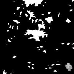 PROCESSOR_Bus Ride