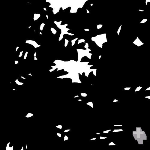 PROCESSOR_Bus Ride
