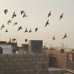 أيها الشعب كيف ترضى بذل؟ أغاني الإنتفاضة