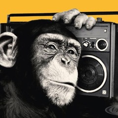 Mr No Mates. Adam Skint