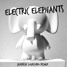 Electric Elephants (Juanchi Loiacono Remix)