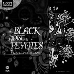 Black Noise - In Orbit (Sangoma Records) Out now!