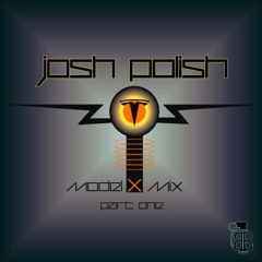 Polish Tesla X mix