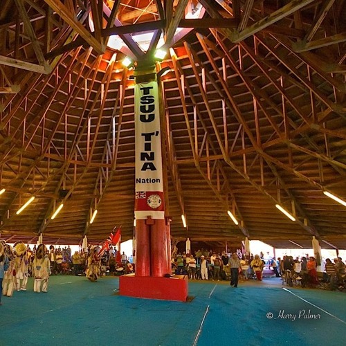 Buffalo Lodge - Tsuu T'ina Powwow (Saturday Night Live) July 24-26, 2015.