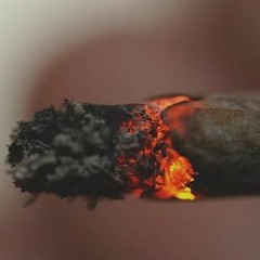 Keepin' Up With Life