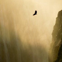 Motorcycle - As The Rush Comes (Soul & Senses Remix)