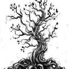 CraZe - TREE OF LIFE - 160 BPM(not Finished )