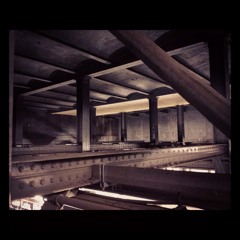 'Prison Tree' Live at the Trash Bar, Brooklyn NYC