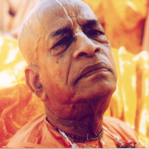 Srila Prabhupada's Tirobhava 2015 - Saci Suta Das
