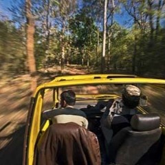 The Second Challenge - Jungle Chase