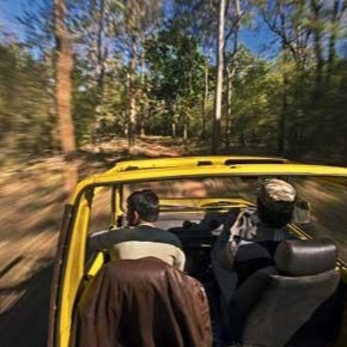 The Second Challenge - Jungle Chase