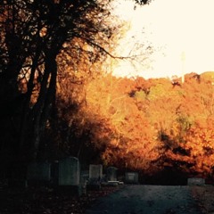 ghost rivers x mark iv x yung shark x joe grav- flyin (prod. chromakey)