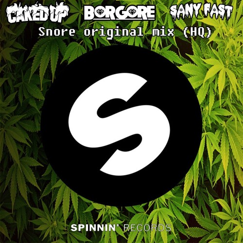 Sany Fast ft.Borgore & Caked Up-Snore original mix (HQ)