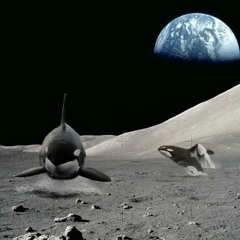 Will Sparks Ft. Luciana - Sick Like That (Z-Quidd Remix)[SUPPORTED BY WILL SPARKS)