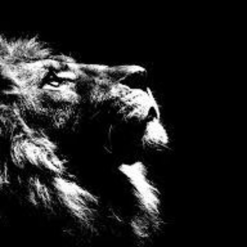 Naxsy - Frontin X Burn  Pharrell Williams   Ellie Goulding