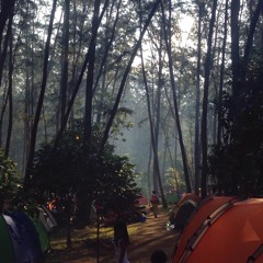 Make You Feel My Love