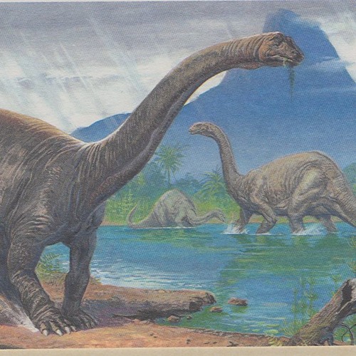 Stream Holy F its a Dinosaur! by Nasikrawu | Listen online for free on ...
