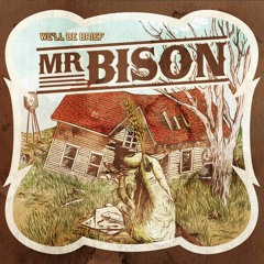 Mr BISON - Milady (We'll be brief LP2012)