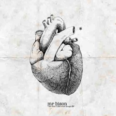 Mr BISON - THINLINE (We don't like a love songs EP2011)