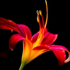 Devil's Work - Uncle Acid and the Deadbeats Cover