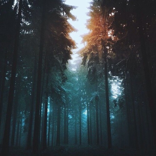 Kruewl - Now Awake (UNRELEASED)